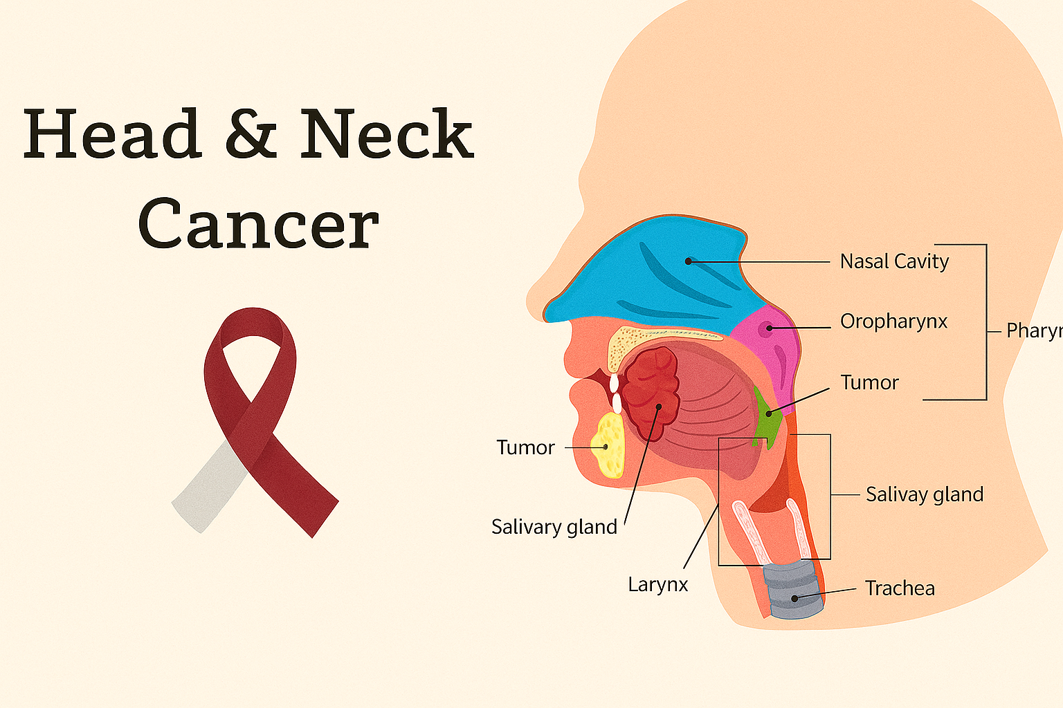 Oncoplasty Surgeon in Mohali